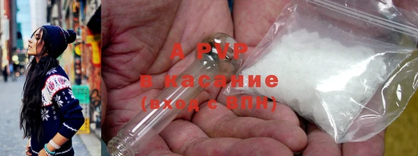 прущие грибы Заволжье