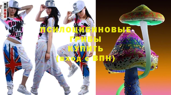 прущие грибы Заволжье