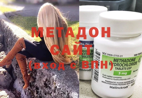 прущие грибы Заволжье