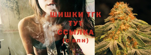 прущие грибы Заволжье