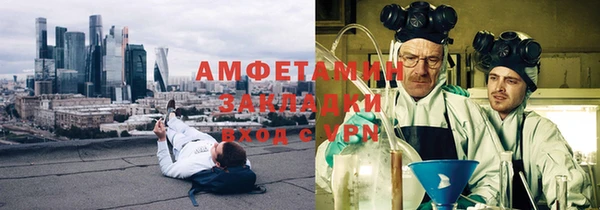 прущие грибы Заволжье