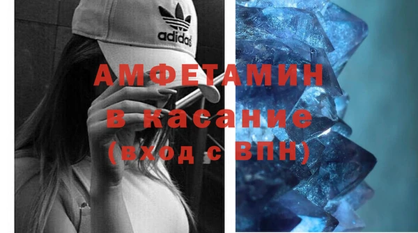 прущие грибы Заволжье