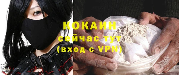 прущие грибы Заволжье