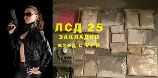 прущие грибы Заволжье