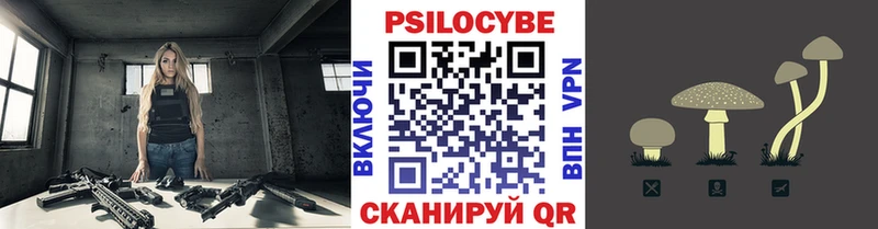 Купить где  Красный Сулин  Псилоцибиновые грибы мицелий 